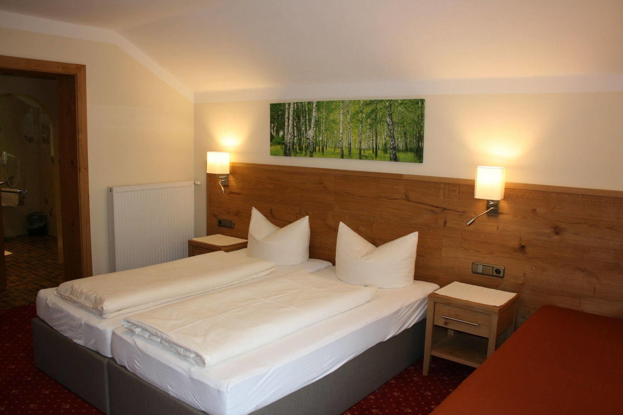 Pension Birkenhof Майрхофен Экстерьер фото