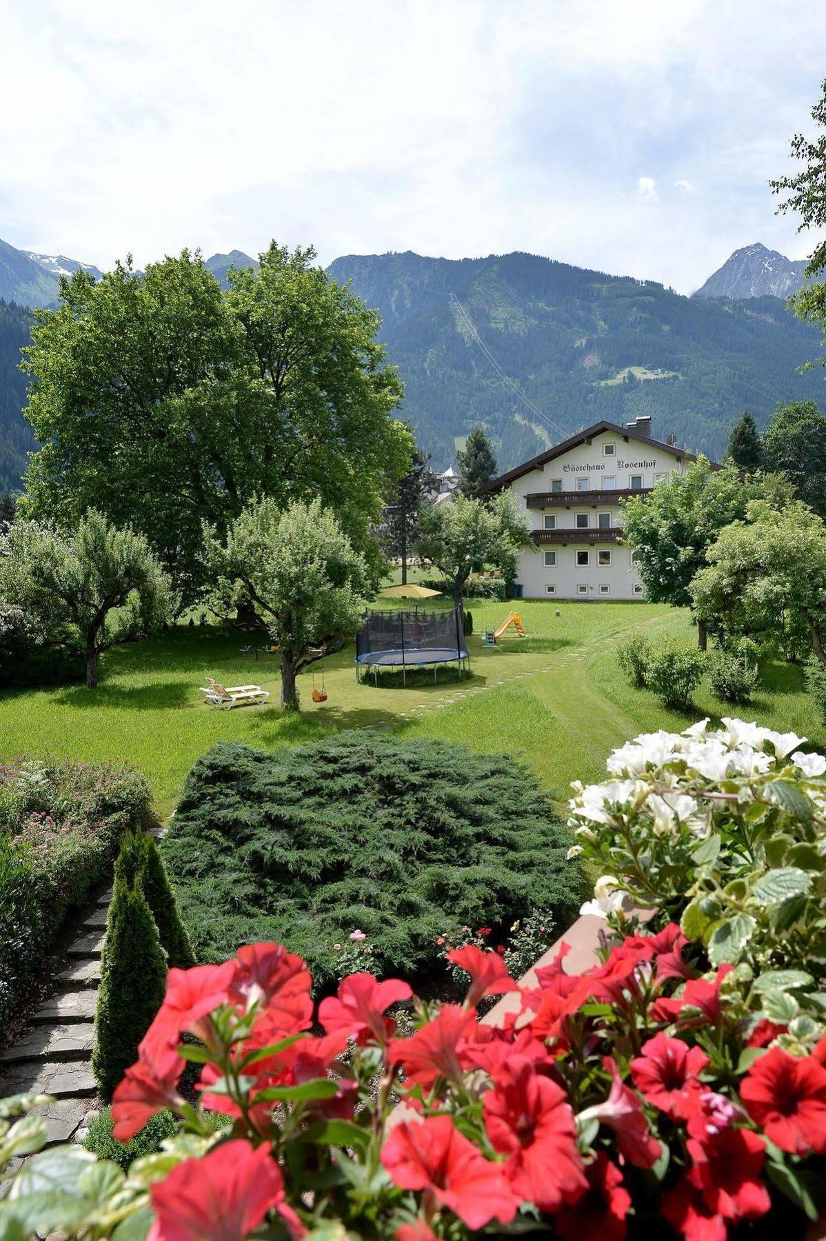 Pension Birkenhof Майрхофен Экстерьер фото